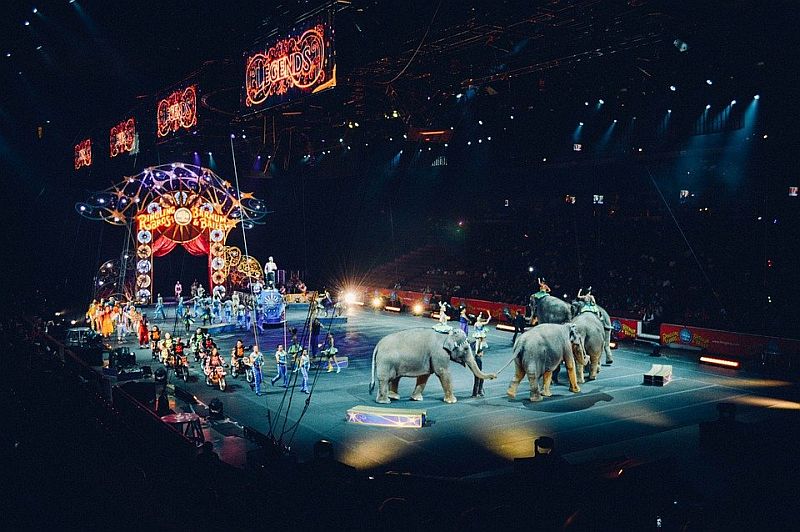 circus-828680_960_720