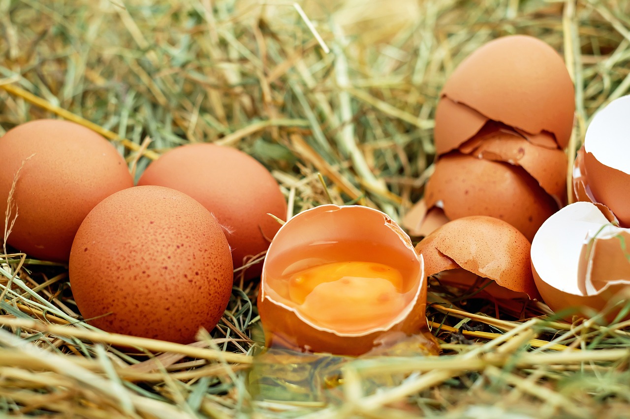 eggs-1510449_1280