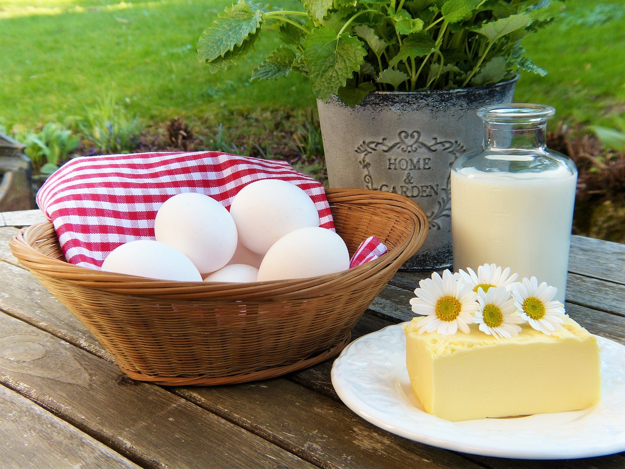 egg-2191991_1280