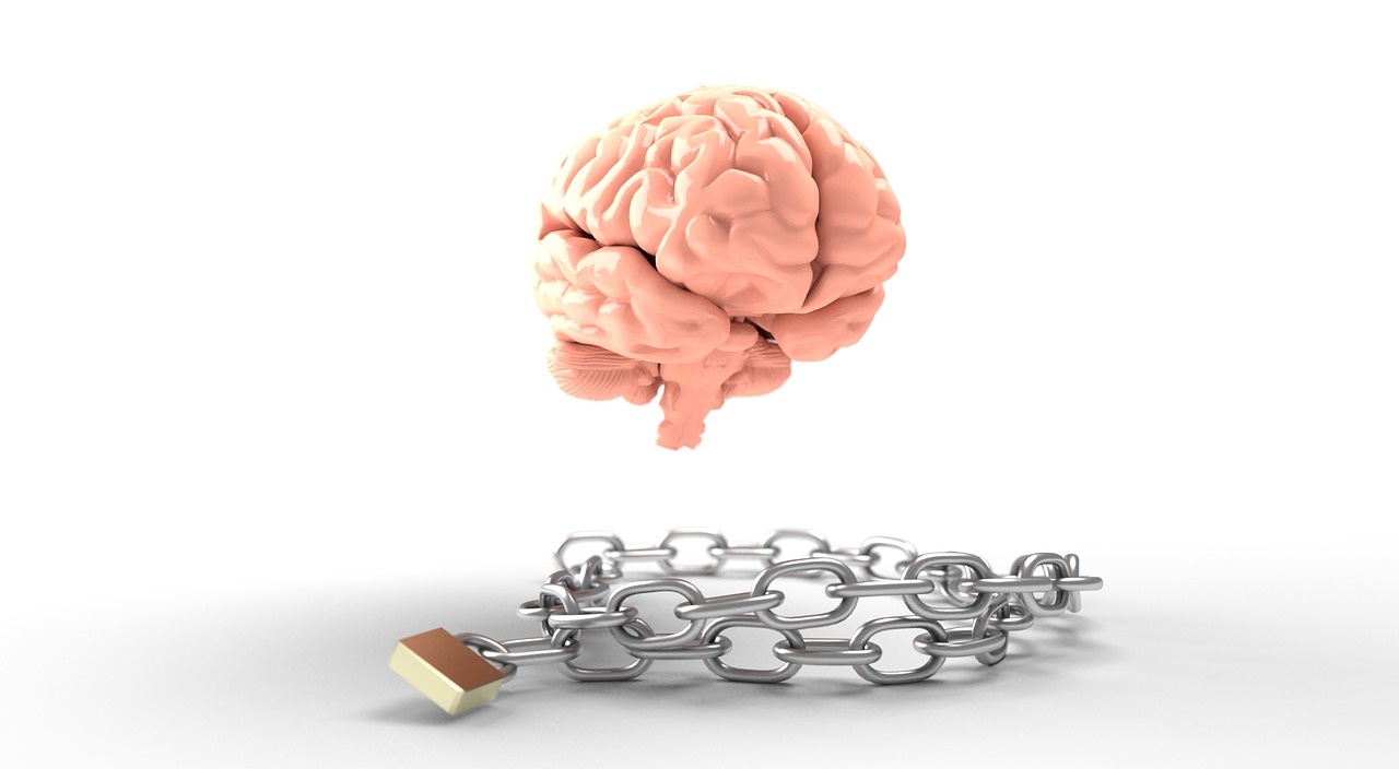brain-3446320_1280
