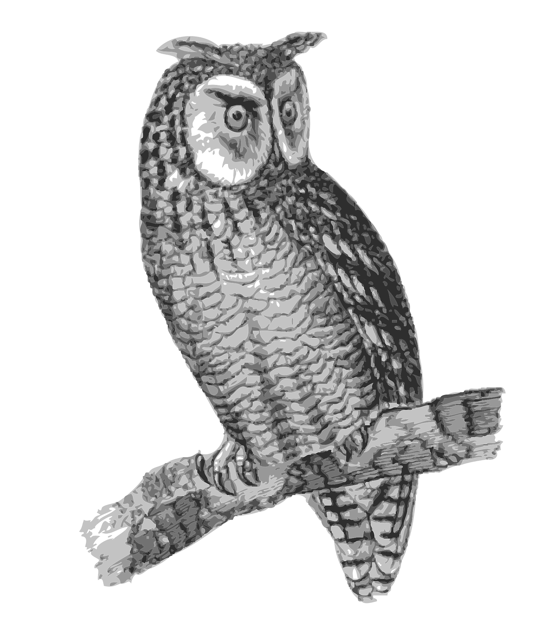 bird-1299858_1280