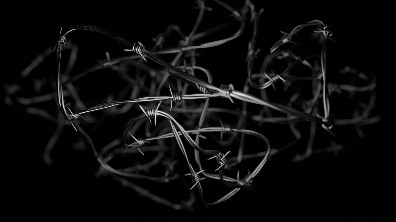 barbed-wire-6884984_1280
