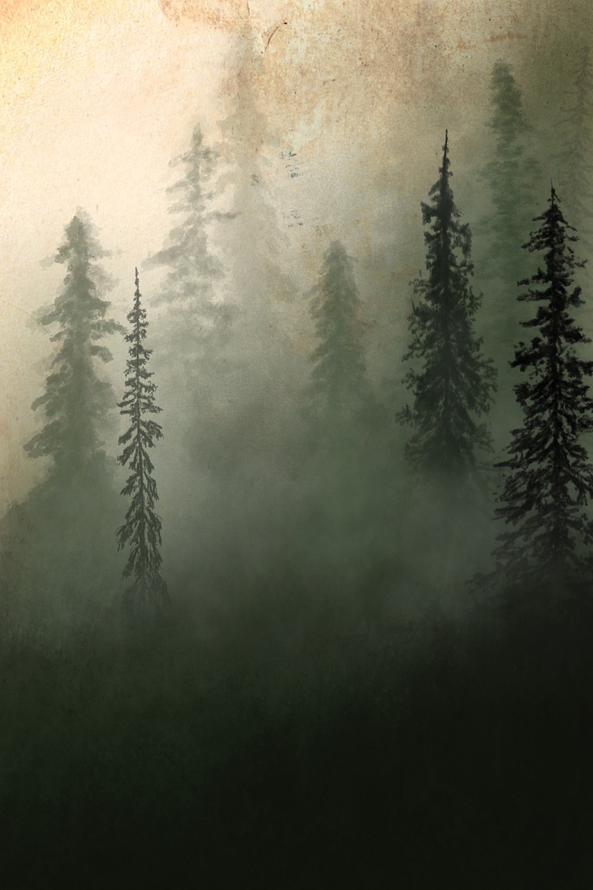 woods-7278071_1280