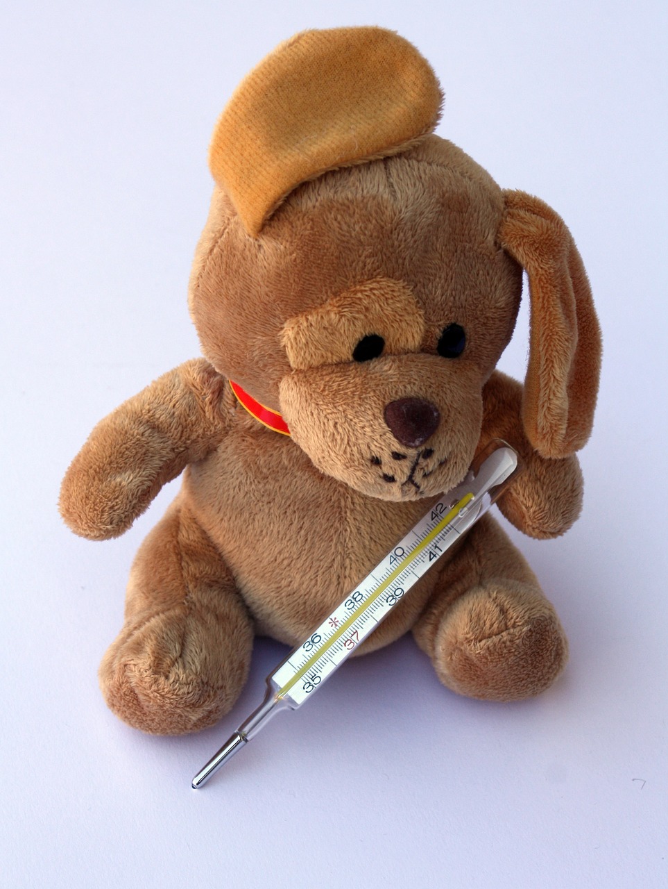teddy-242868_1280