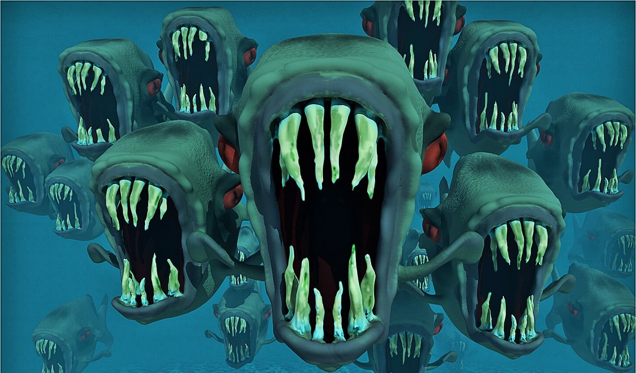 piranhas-123287_1280
