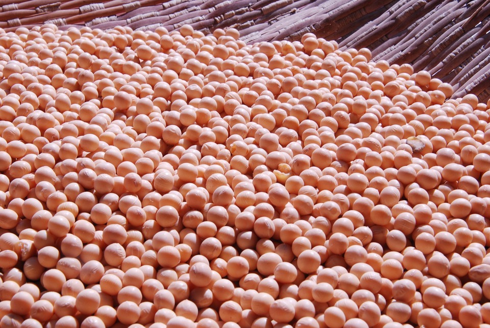 soy-1219880_960_720
