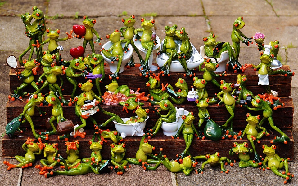 frogs-1371297_960_720